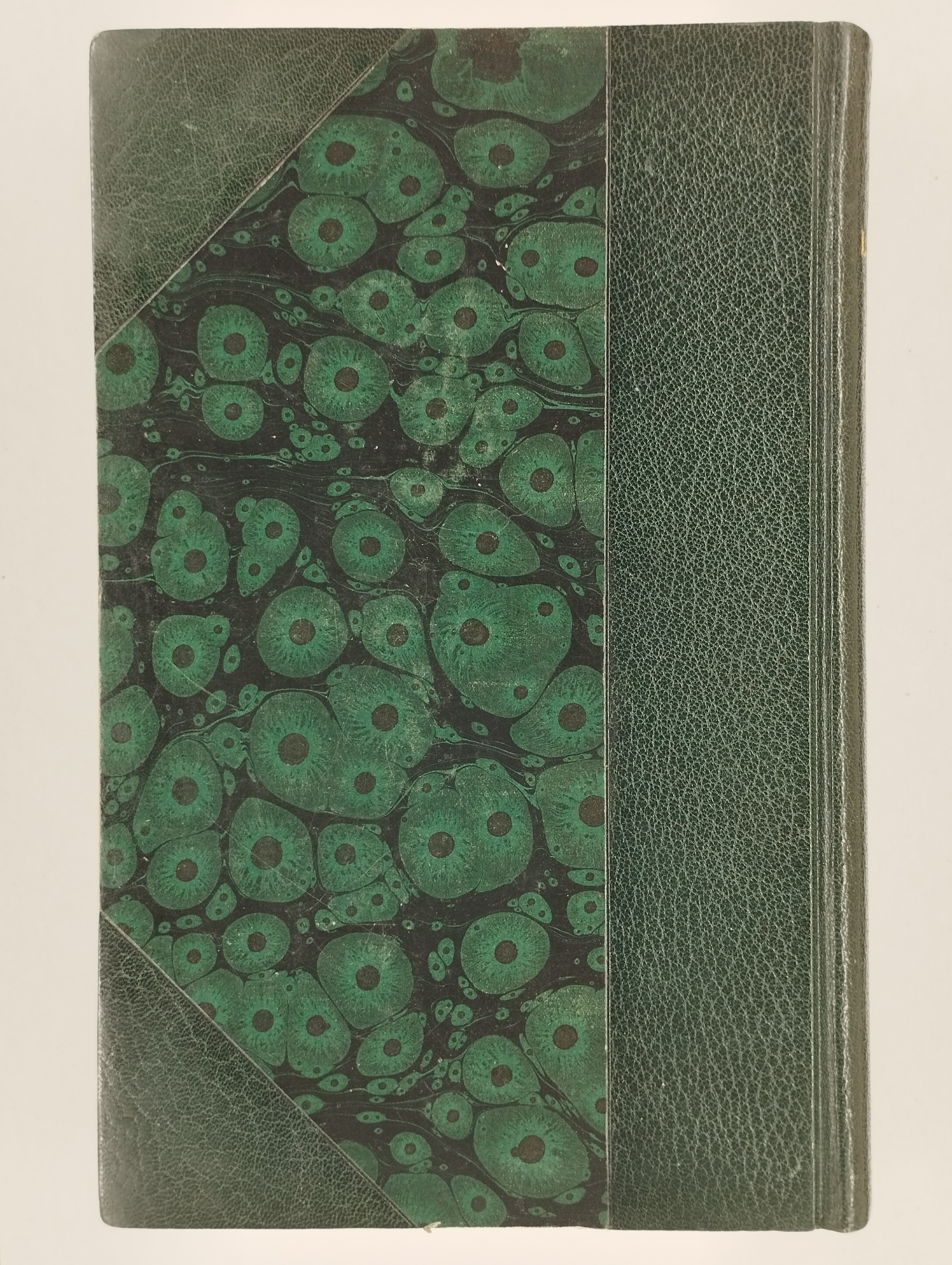 19356_25