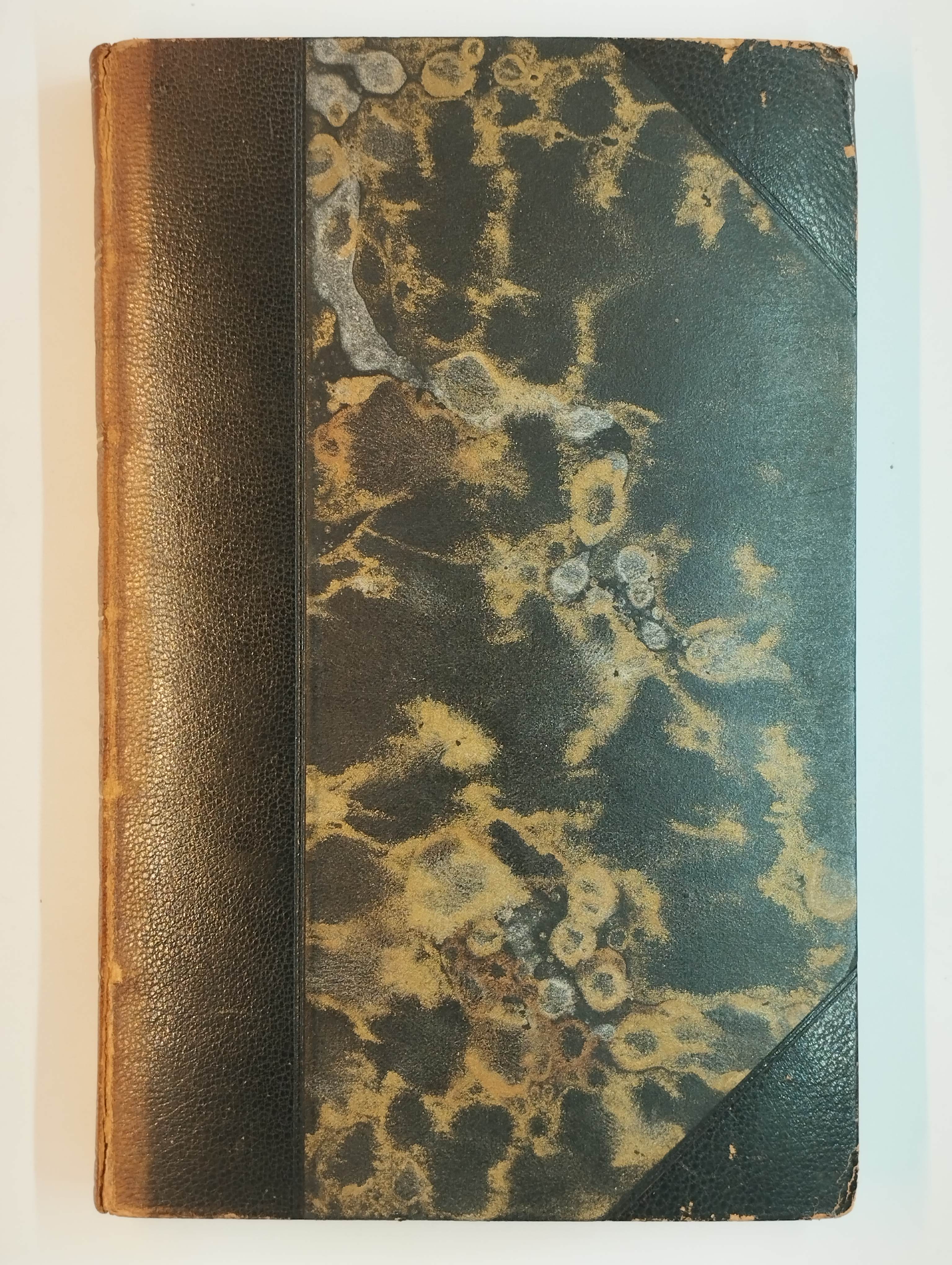 20195_2